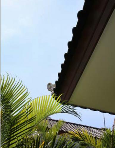 VILLA CHANIKAYA BALI 7 Conwood Eave 2in1 - Conwood Decorative Deck 4”